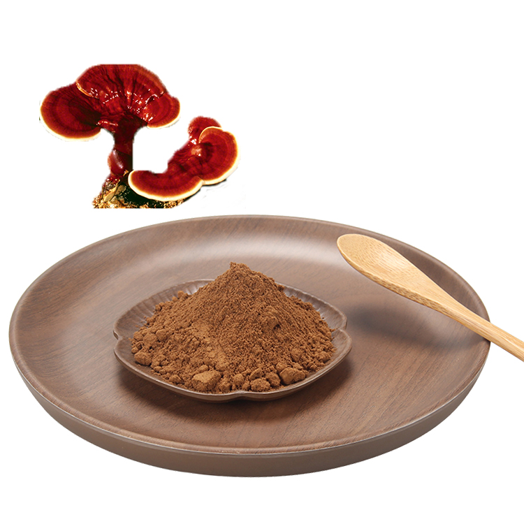 Boost Immunity Naturally with Organic Red Reishi Mushroom Extract